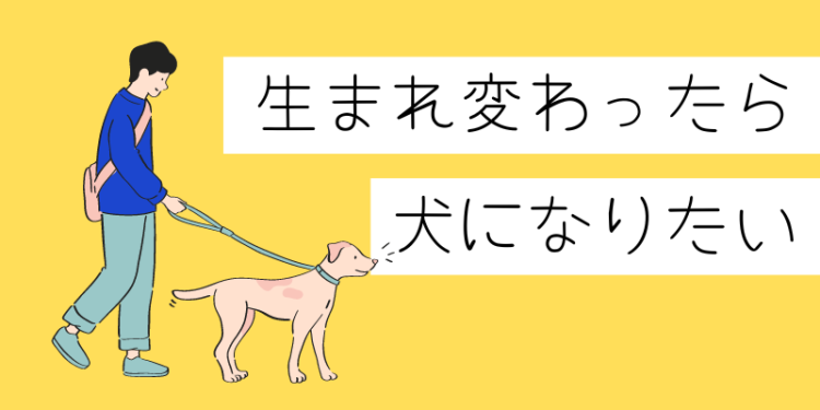 カワイイがいっぱい！ワンダーランド